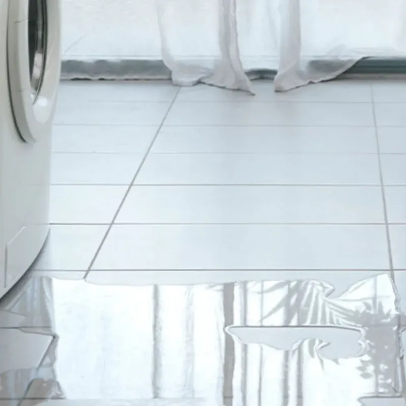 Appliance Leak Cleanup in Pittsford, NY