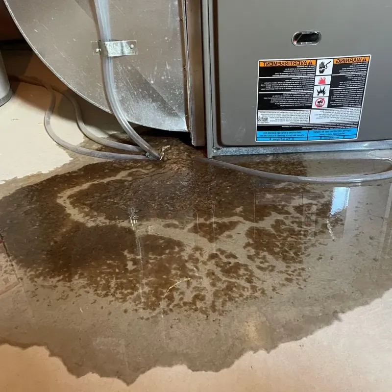Pipe Burst and Leak Restoration in Pittsford, NY